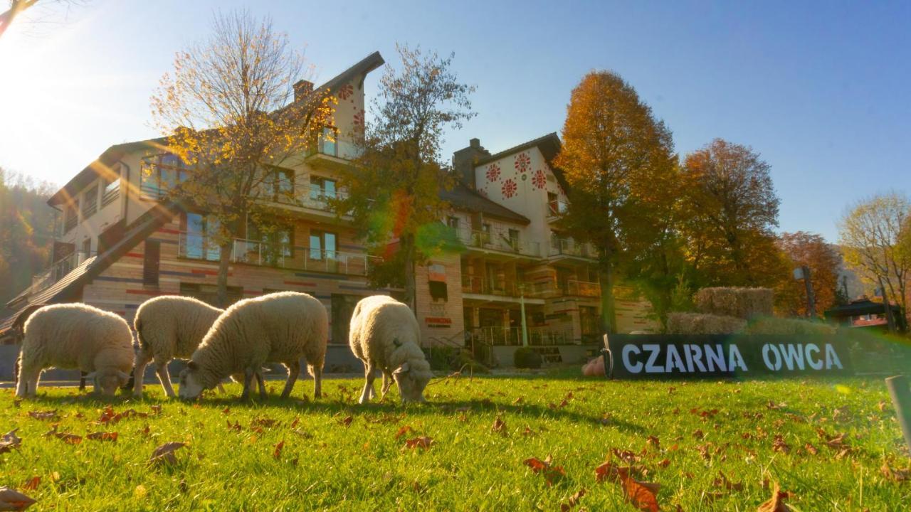Hotel Piwniczna Spa&Conference 외부 사진