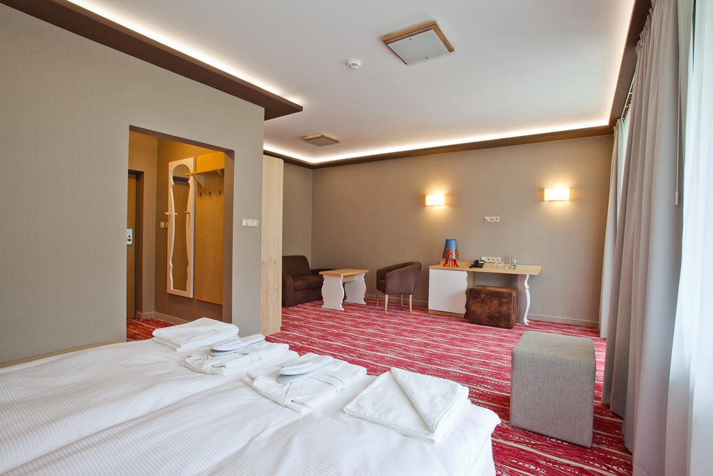 Hotel Piwniczna Spa&Conference 객실 사진